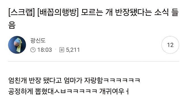 모르는 강아지가 반장됬다고 카톡옴...