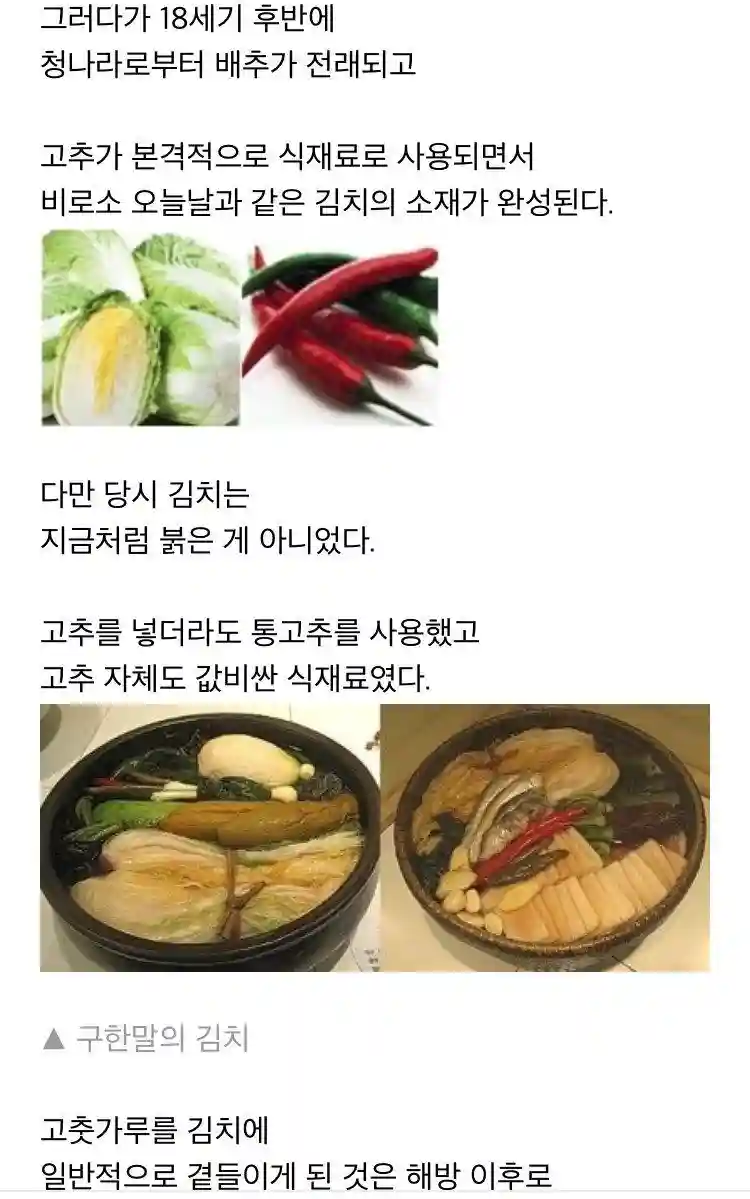 04.jpg