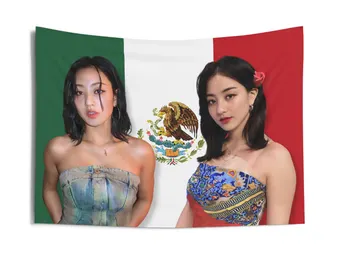 빅토리아 시크릿 무대에 선 트와이스에 감격한 외국 팬 관련 이미지 5