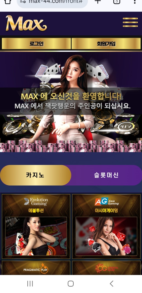 맥스.png