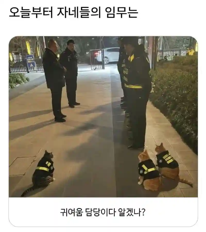 41bf5b565d0af7819064c943abc6d13ded2bbd00.png
