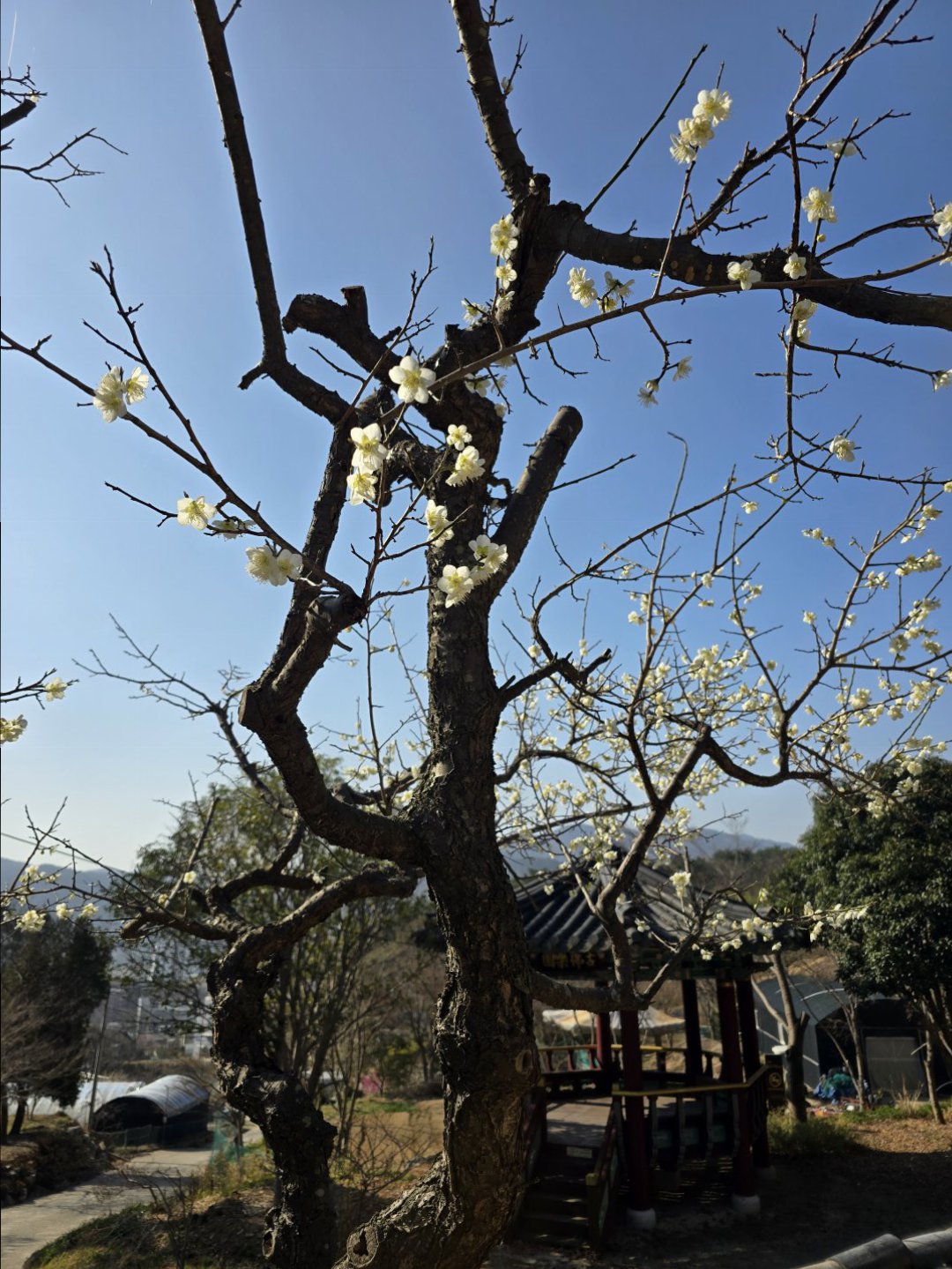 날이 좋네요