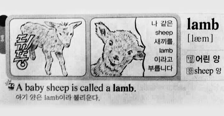 양갈비 시켰는데 다른 집으로 배송됨 관련 이미지