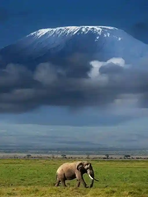 mount-kilimanjaro-africas-highest-mountain-v0-i2mj9mk2w71h1.jpeg