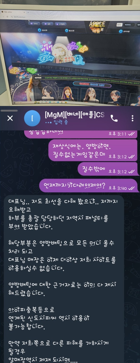 애플 성피 돈안주고 튐