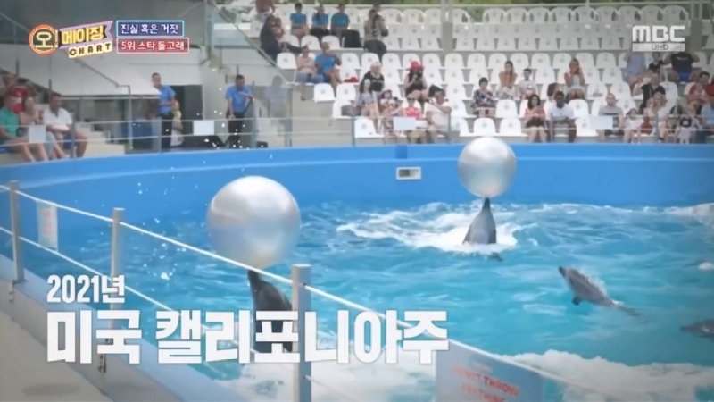 수족관에 갇혀사는 돌고래가 불쌍해서 무게 270kg의 로봇 돌고래를 만든 사람