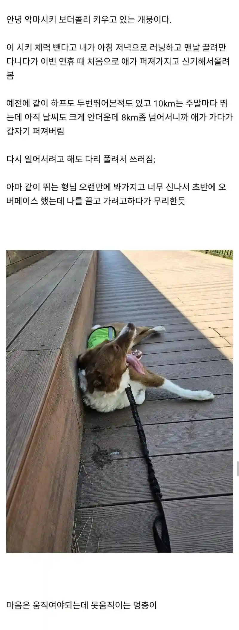 02.jpg