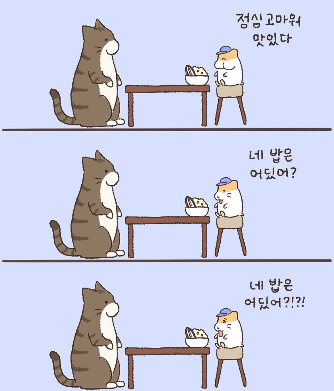 야옹아, 네 밥은 어딨어?
