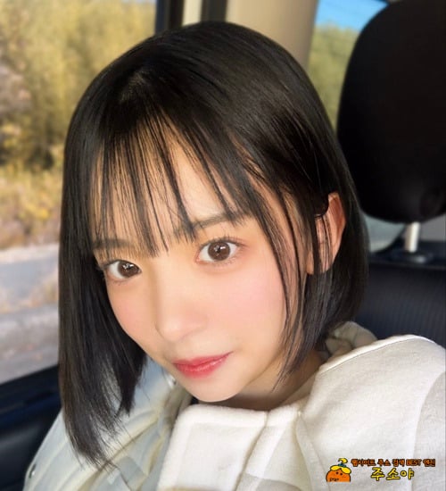 법대 다닌다는 그라모델