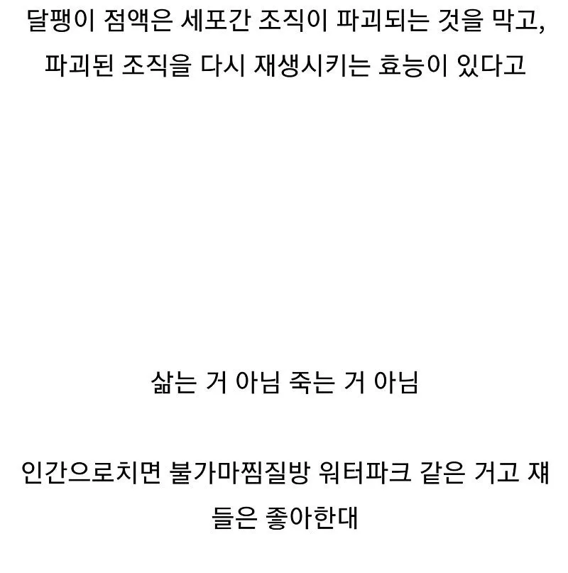 화장품 달팽이 점액 추출 장면 관련 이미지