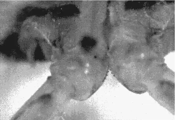 03.gif