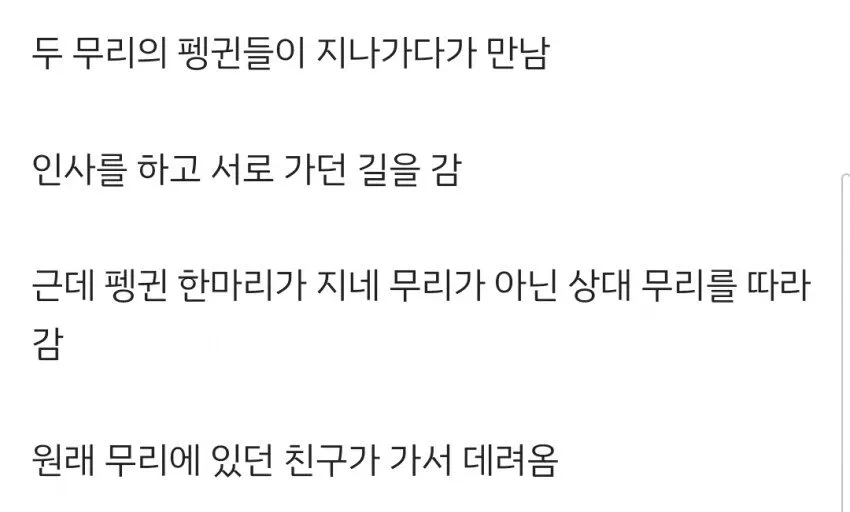 펭귄 두 무리가 만났는데 문제가 생김 관련 이미지 1