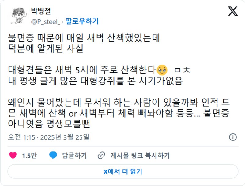 불면증 덕에 알게된 대형견 산책 시간