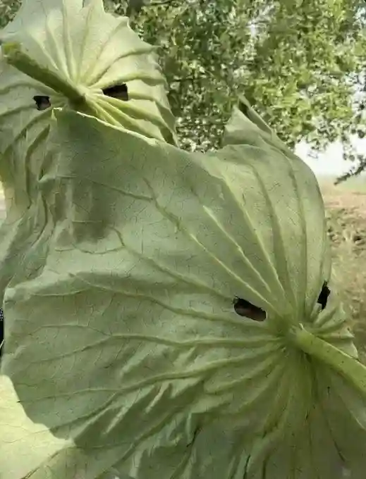 05.png