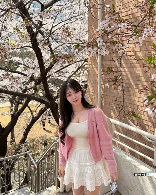 벗꽂구경왔니 벗꽂구경왔니