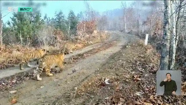 02.gif