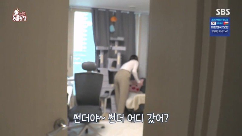 겨울이 다가오자 호랑쥐가 되어버린 애교 철철 넘쳤던 다람쥐