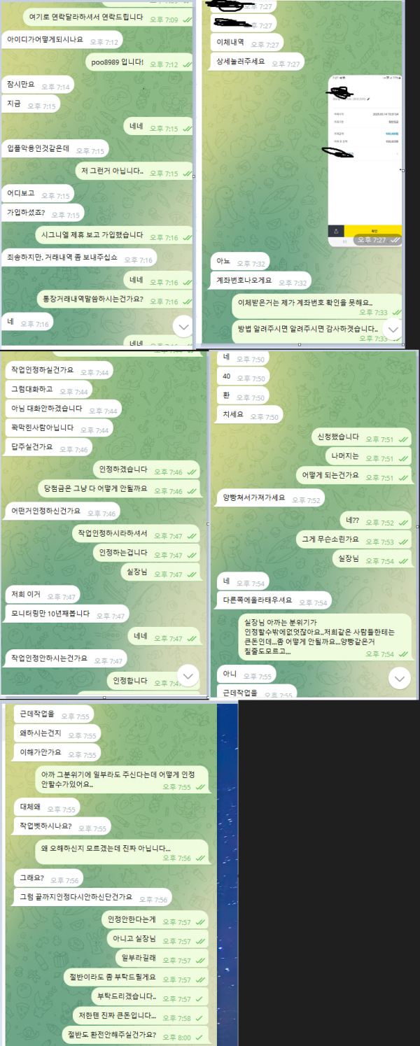 카니발 154만원 사기