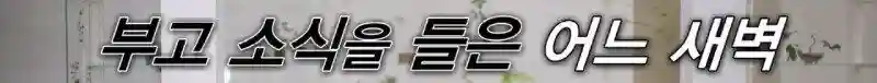 52.jpg