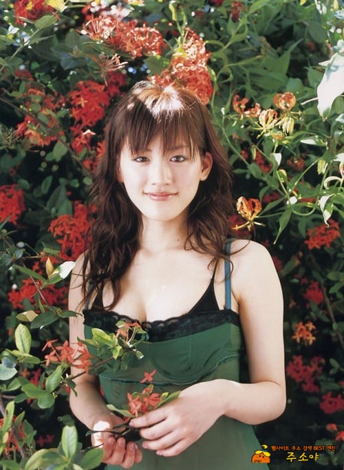 가수 아야세 하루카