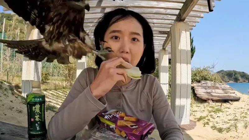 대마도 놀러가서 습격당한 여자 관련 이미지