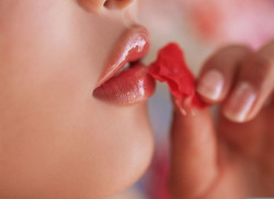 그라비아 모음 스압주의