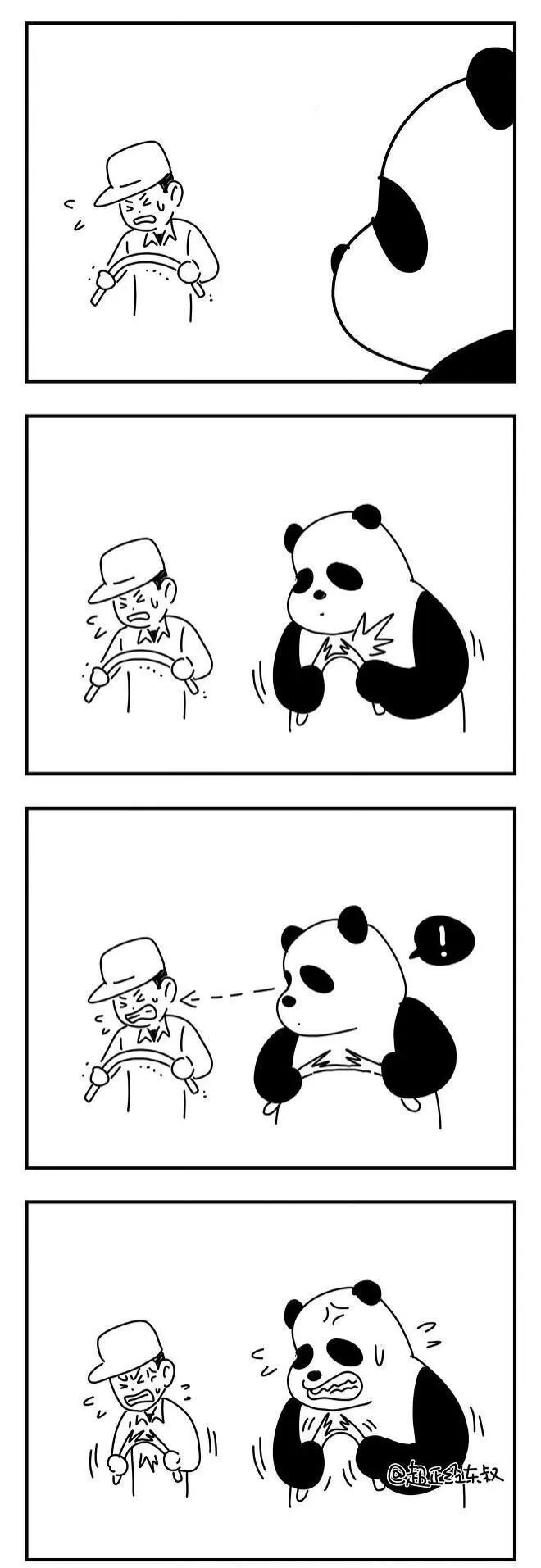 사육사 손에서 자란 판다의 버릇 관련 이미지 1